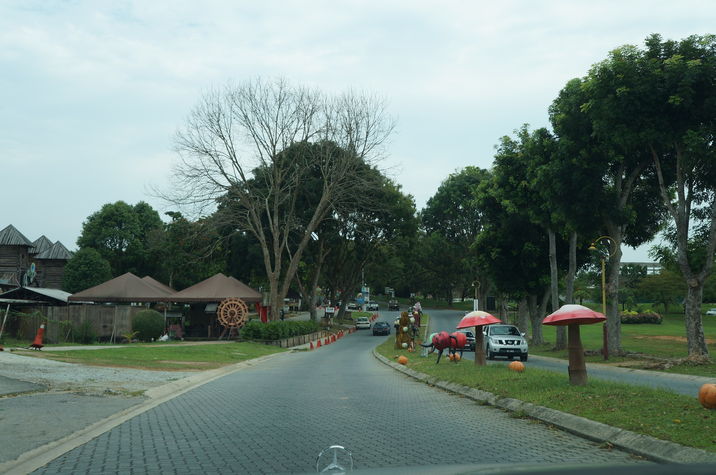 theme park nearby