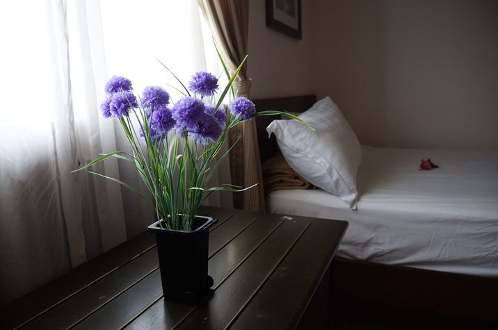 purple dreams