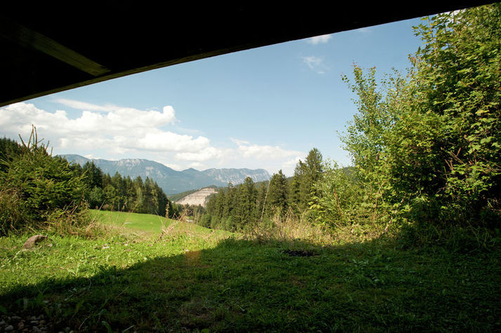 ViewSummer