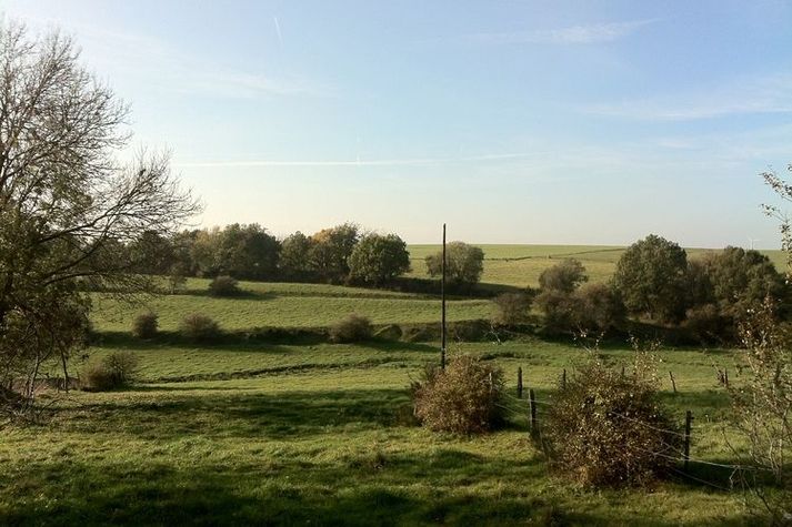 ViewSummer