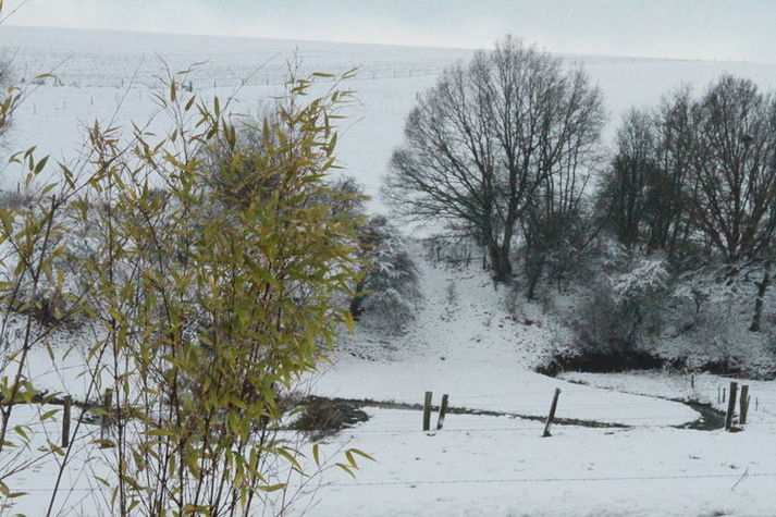 ExteriorWinter