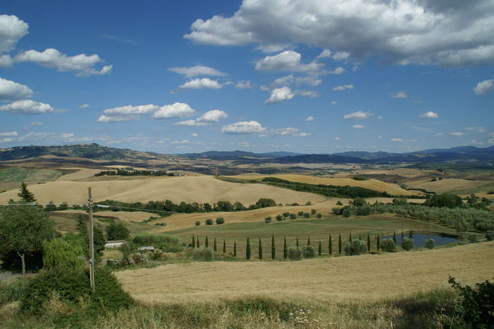 ViewSummer