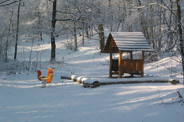 AreaWinter1KM
