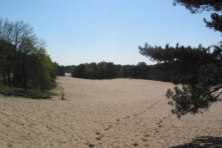 AreaSummer1KM