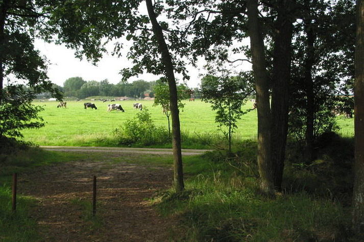 AreaSummer1KM