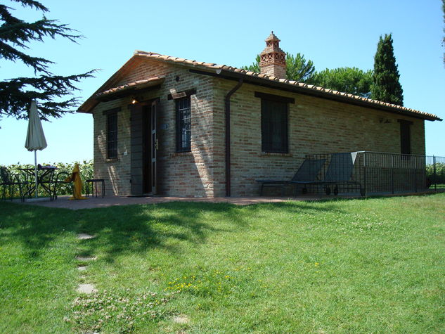 Il Cedro