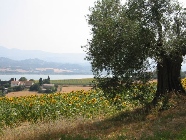 View to the south