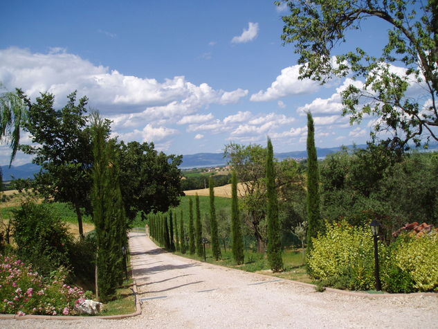 Private drive looking North