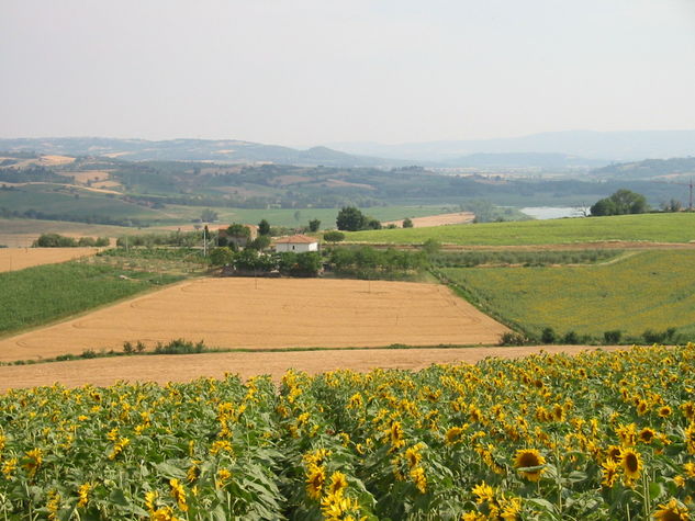 View to the south