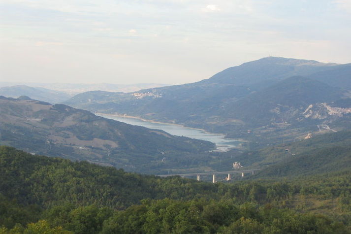 ViewSummer