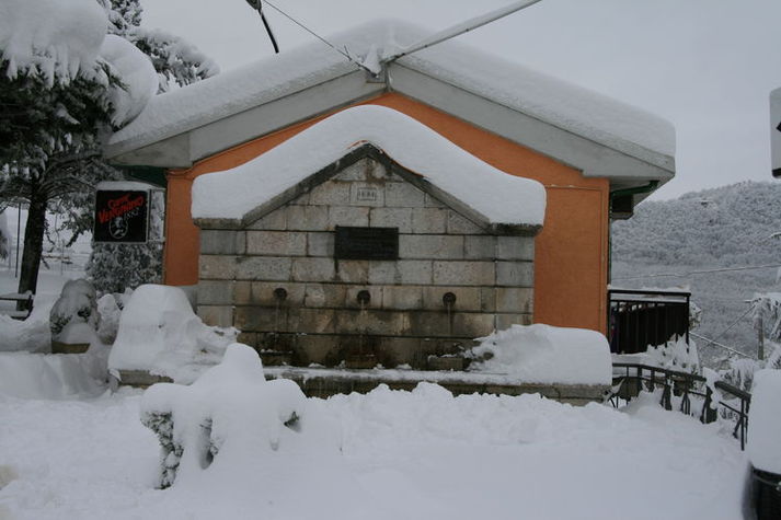 GardenWinter