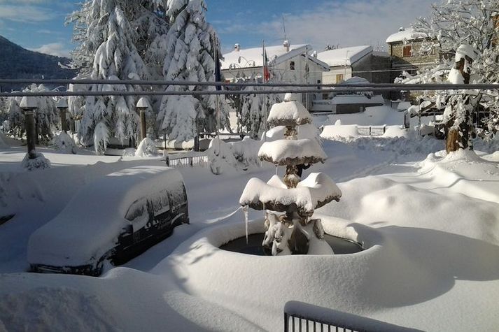 GardenWinter
